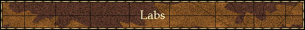 Labs