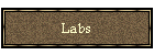 Labs