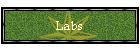 Labs